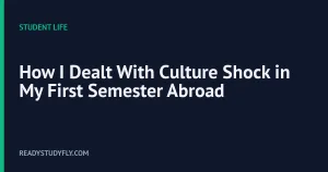 How I Dealt With Culture Shock in My First Semester Abroad cover image