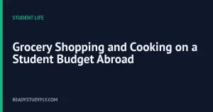 Grocery Shopping and Cooking on a Student Budget Abroad cover image