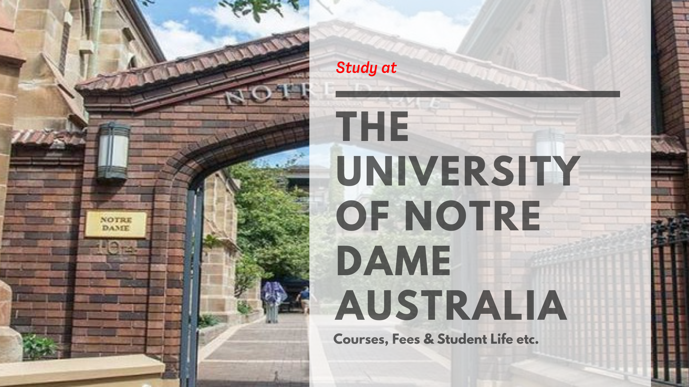 Study at The University of Notre Dame Australia